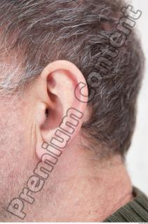 Ear texture of street references 394 0001